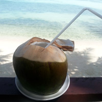 thailand-coconut